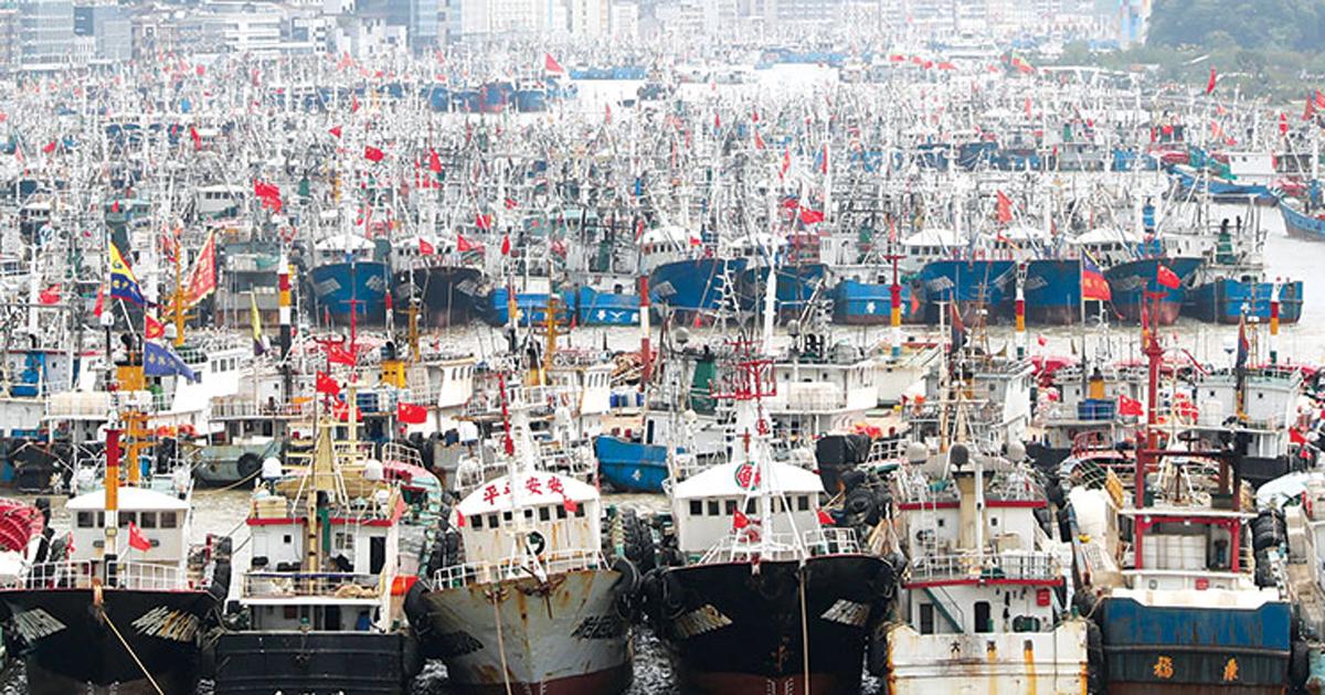 fishing boats