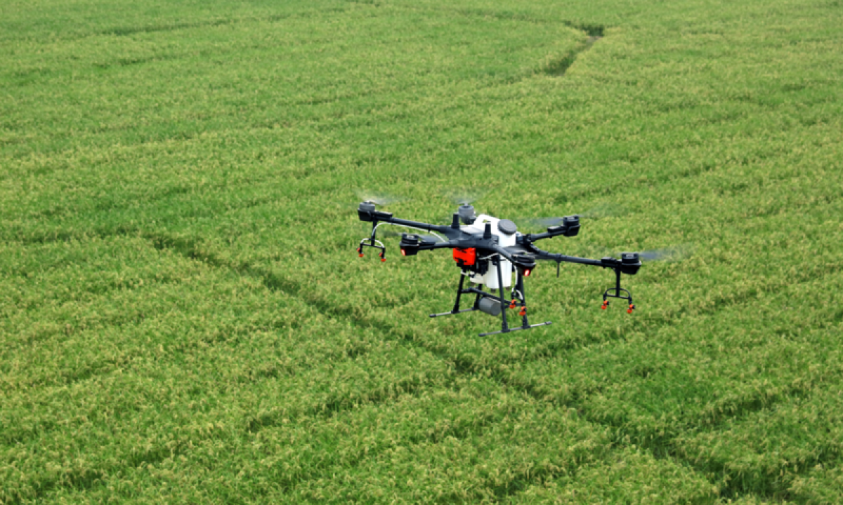 Drone over farm