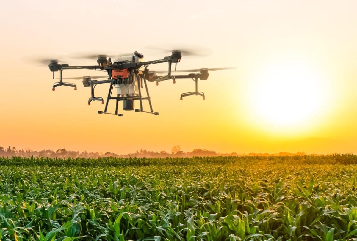 Drone Over Field