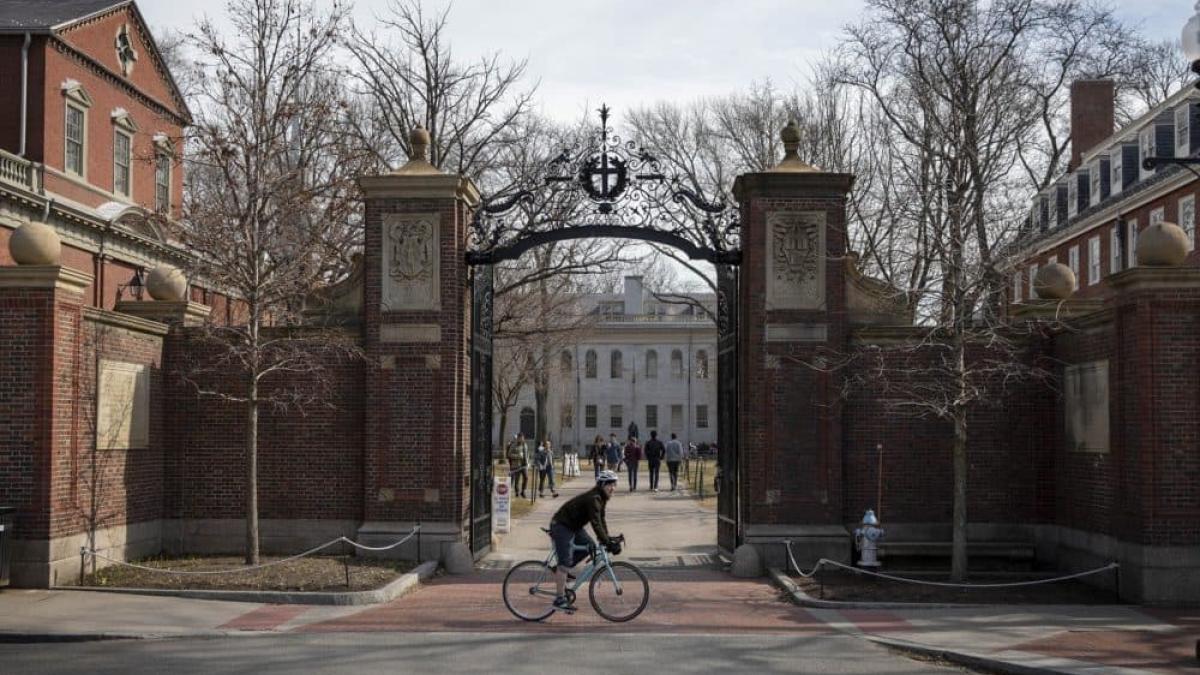 harvard yard