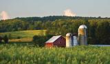 farmland