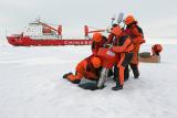 arctic