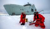 arctic