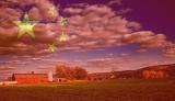 china farm