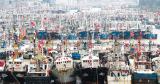 fishing boats