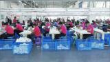 forced labor