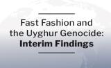 Shein and Temu Report