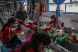 Uyghur Factory 
